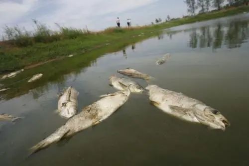 養殖水質(zhì)檢測